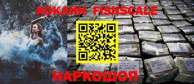 стаф Брянск