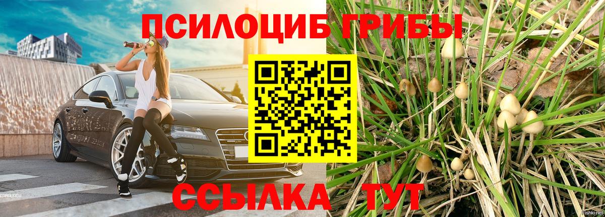 Богородицк  Галлюциногенные грибы ЛСД  Вход с VPN 