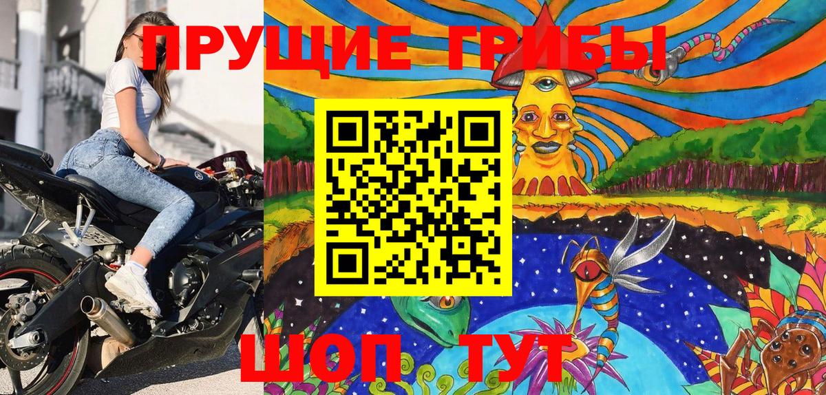 Галлюциногенные грибы прущие грибы Богородицк